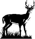 Deer1.wmf (10204 bytes)